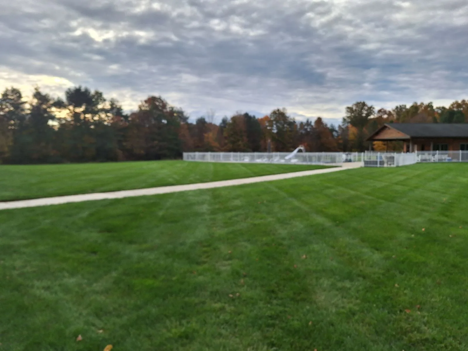 Dormant or Dying? The Mid-July Watering Commitment for Northeast Ohio Lawns