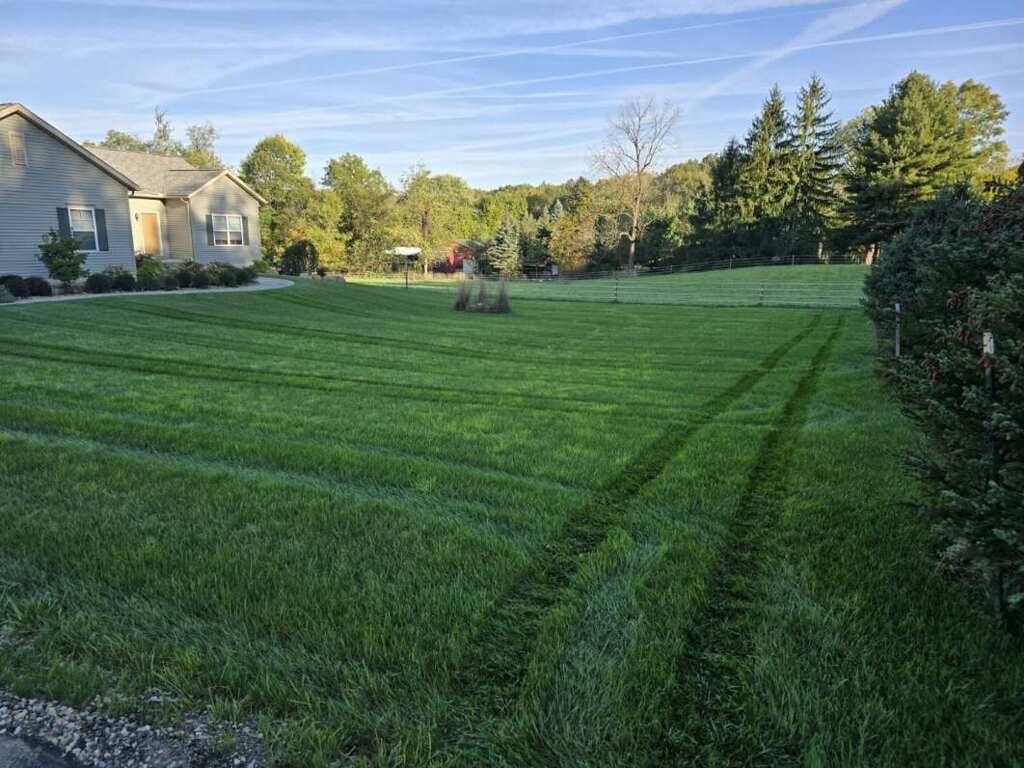 Expert Mole Control Services in Ohio | Portage Turf Specialists