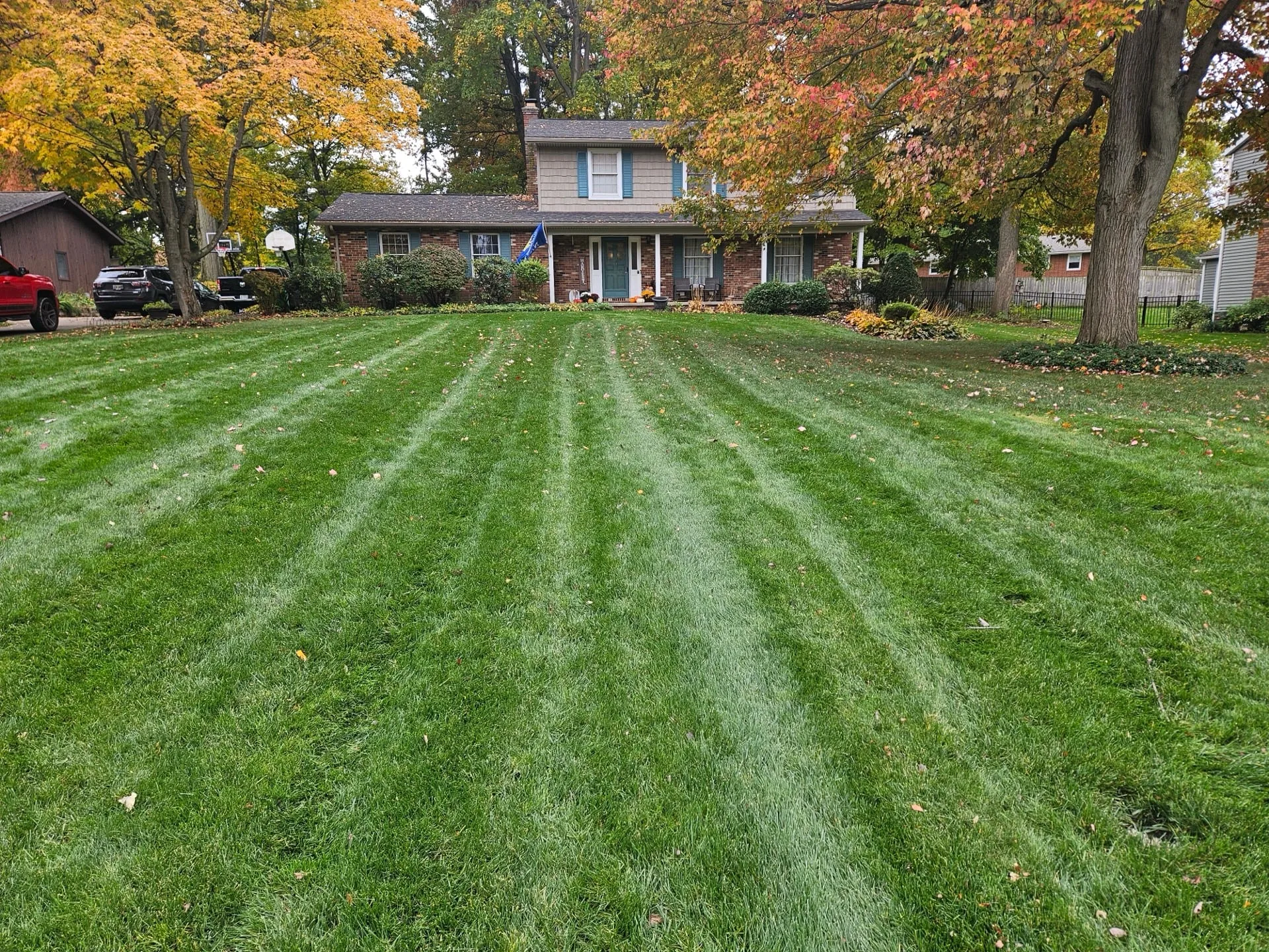 Lawn after aeration and overseeding