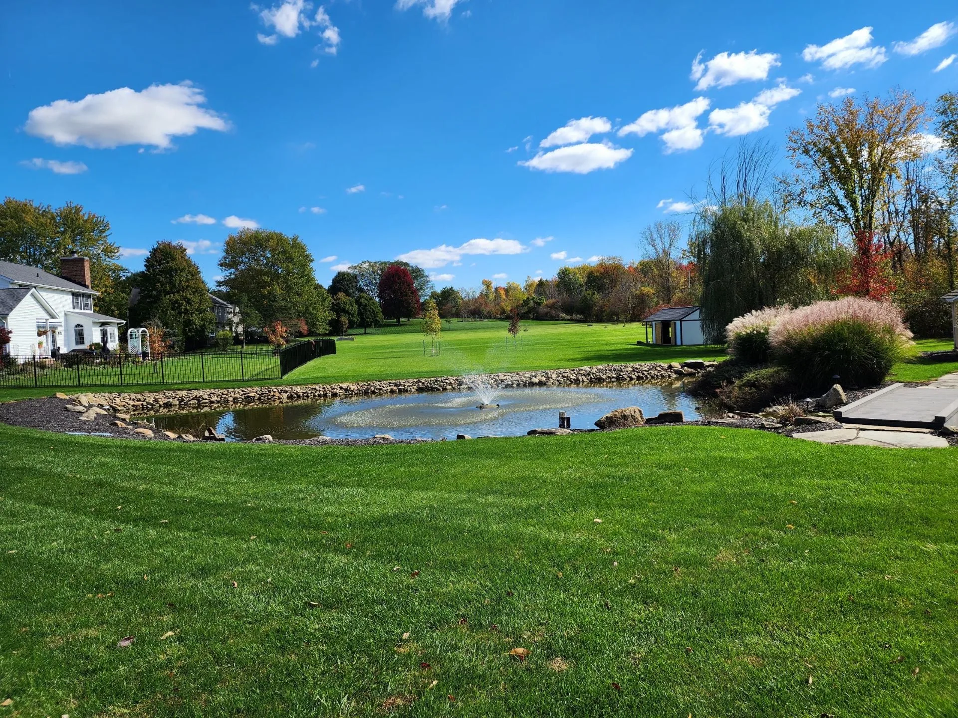 Fall Lawn Care Mistakes