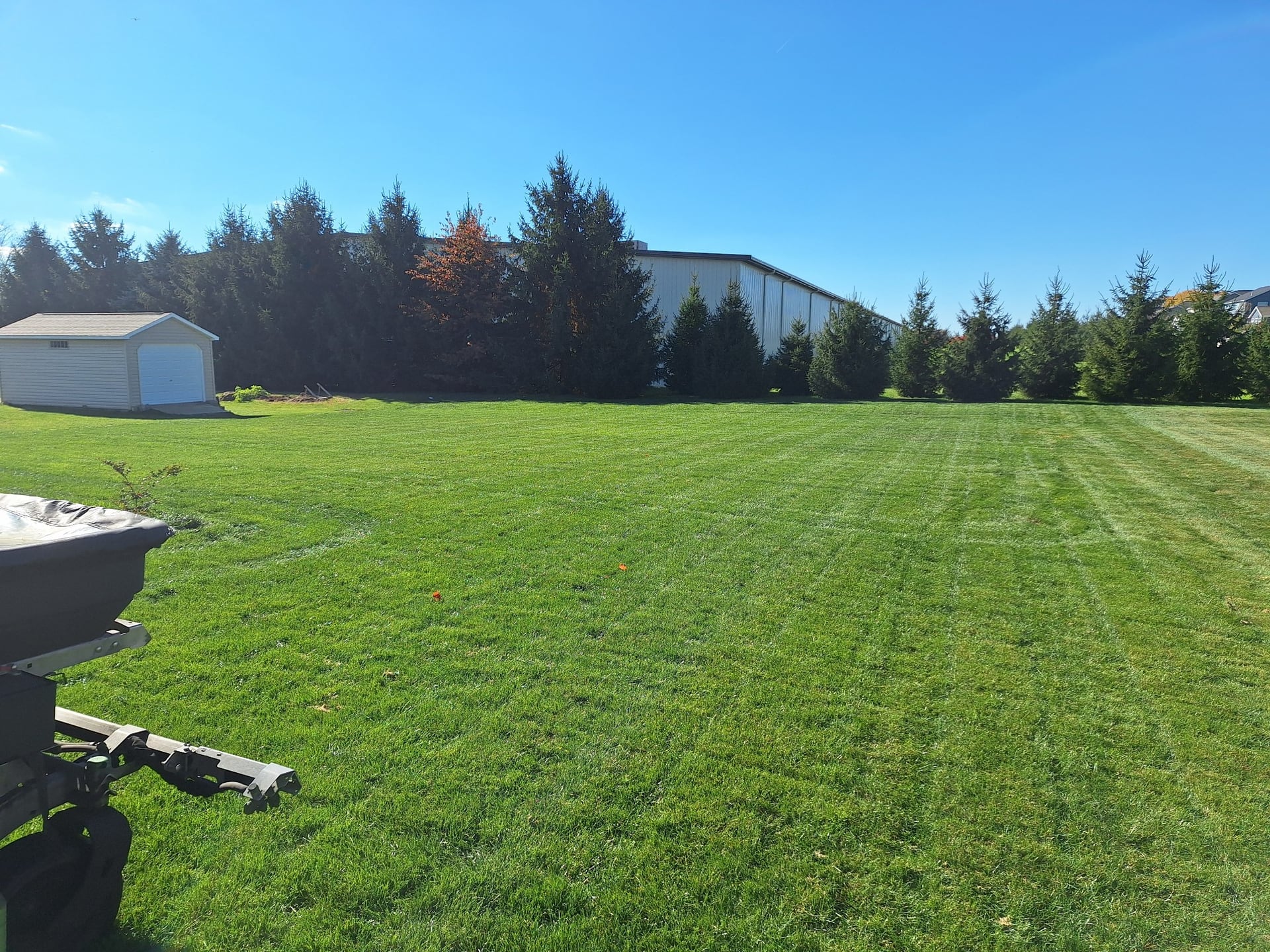 Lush green lawn close up