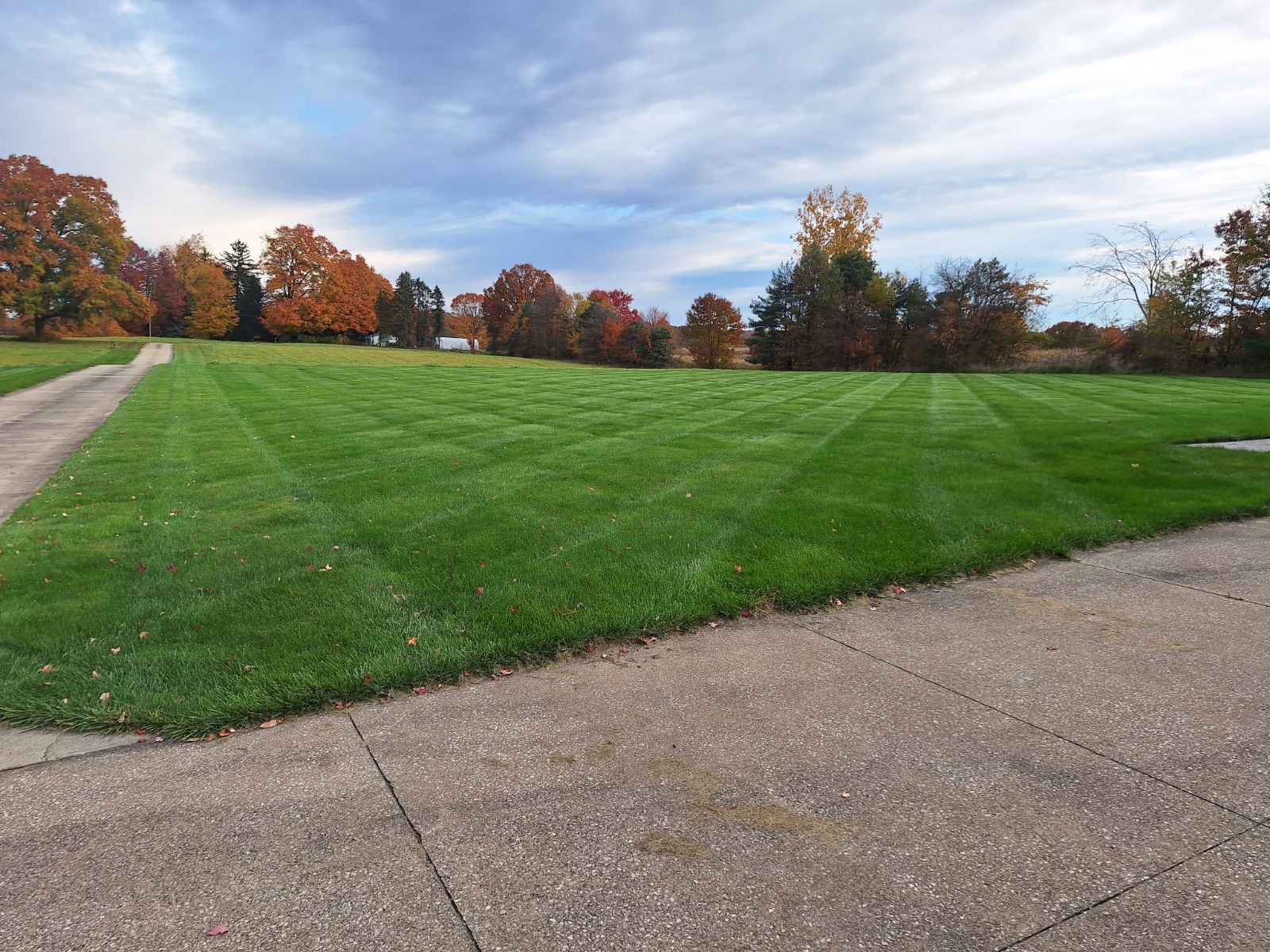 Why Deer Repellent Is Key To Protecting Your Landscape