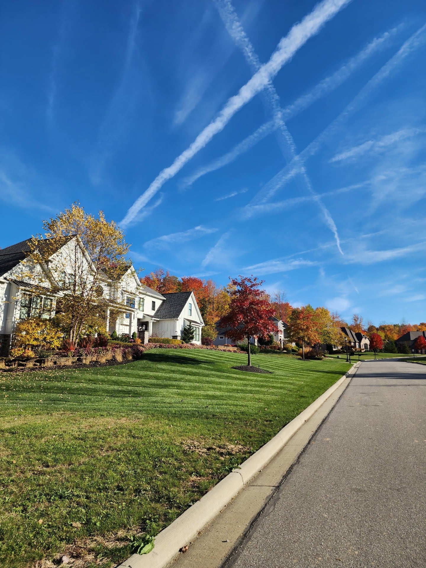 Tree and shrub care - deep root injection