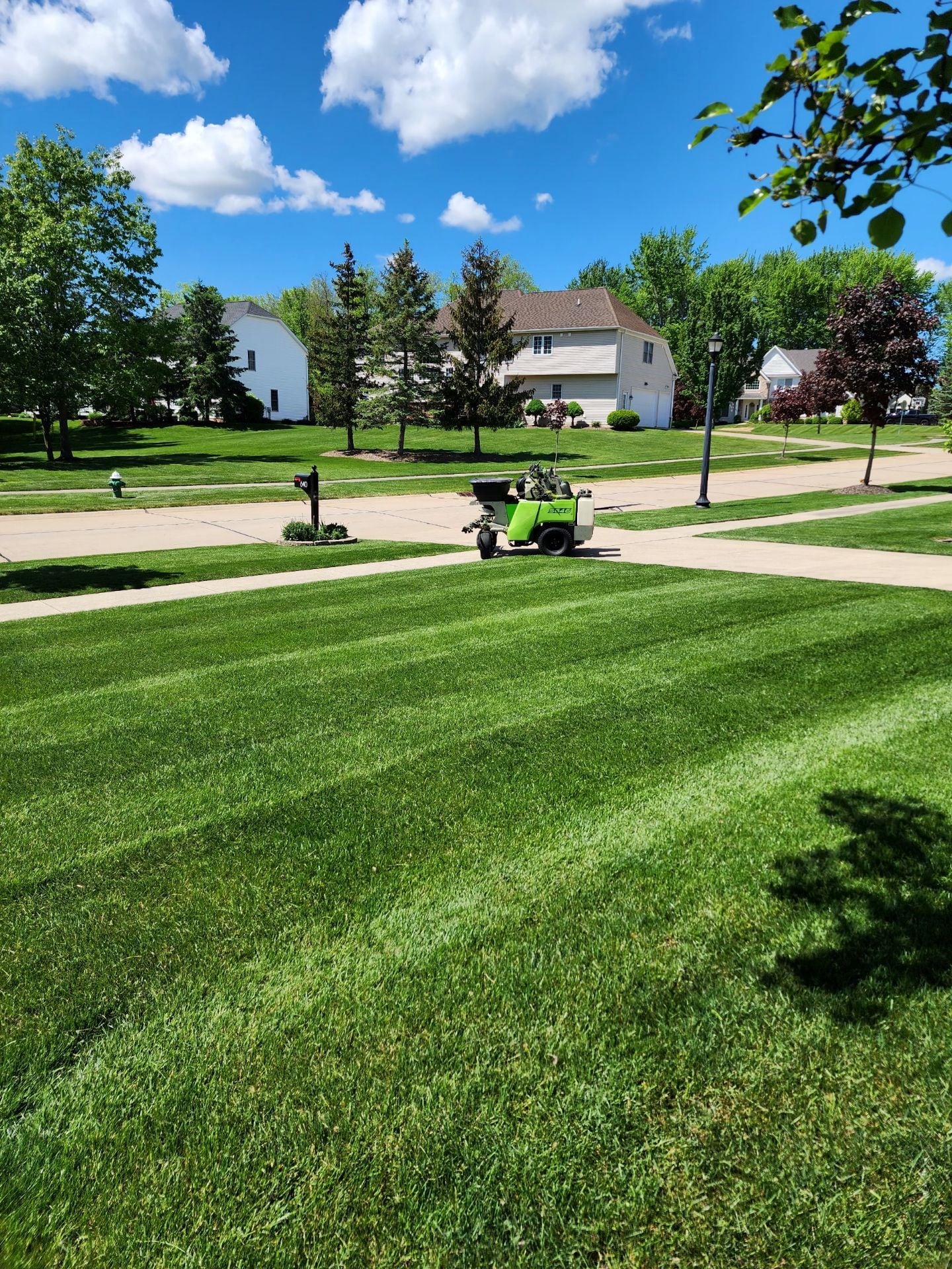 Soil and lawn fertilization — healthy roots and turf care