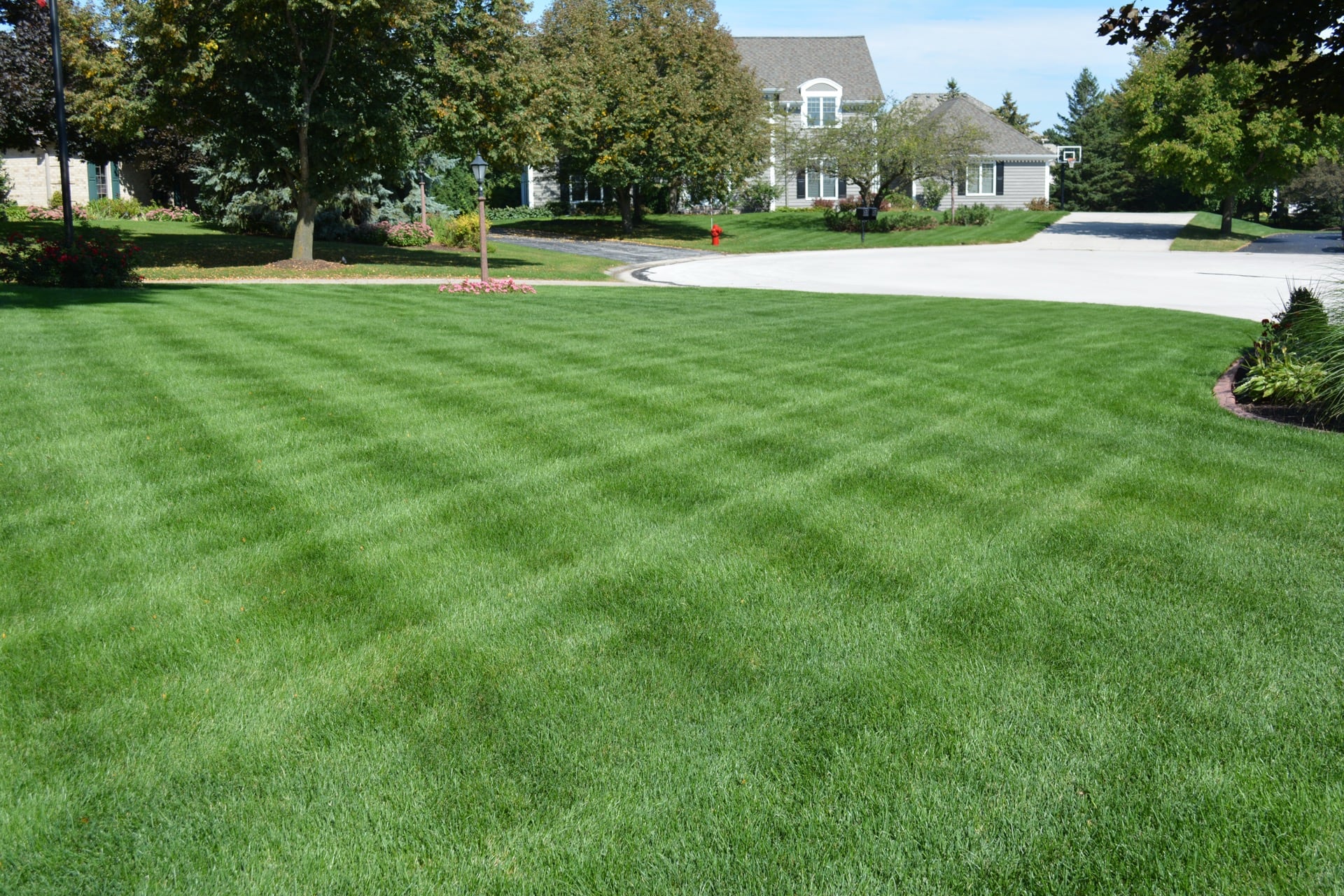 Dethatching 101 The Importance of Aeration