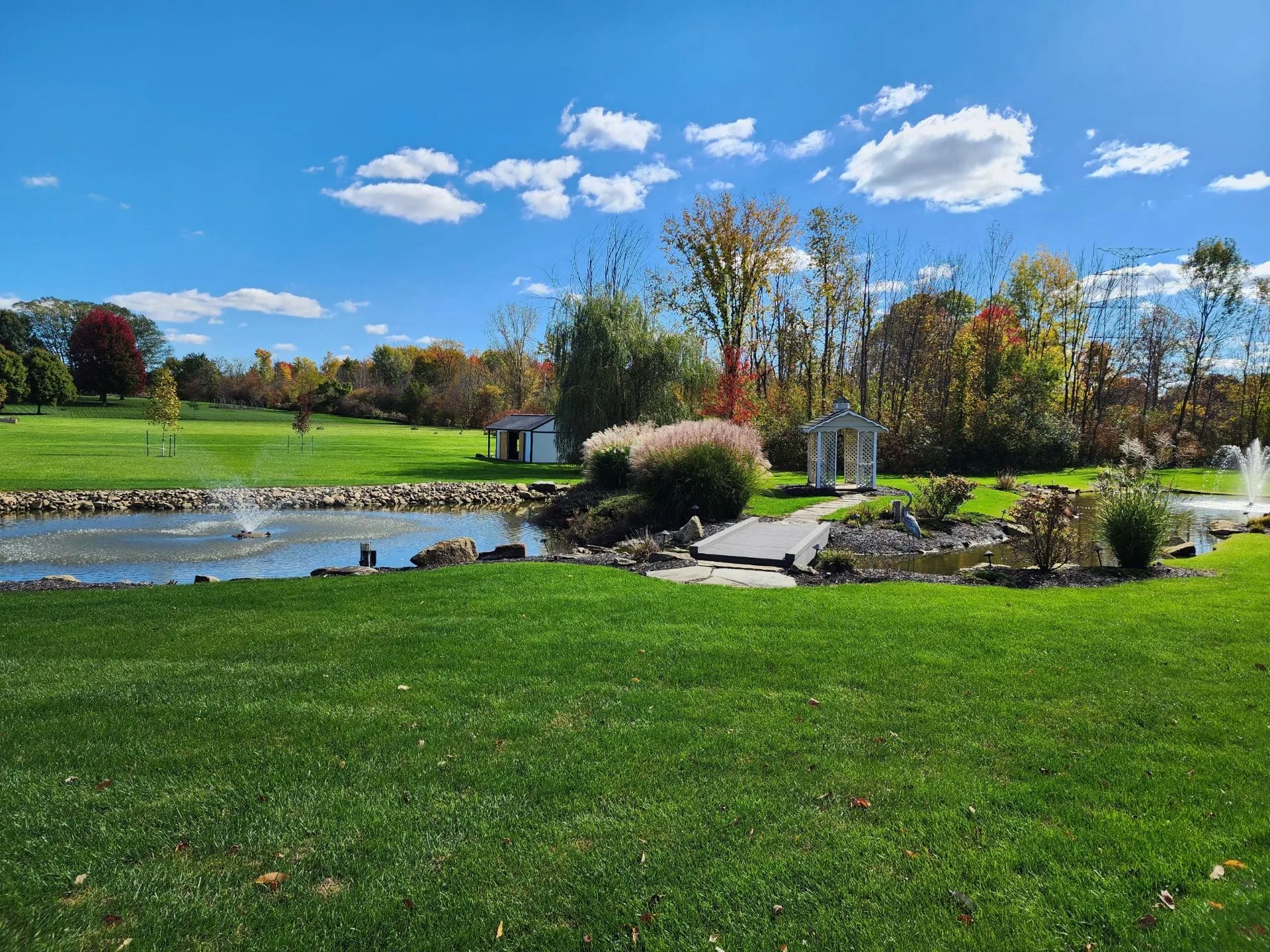 Wheat Field Lawn Seed: Key Stages for Optimal Growth