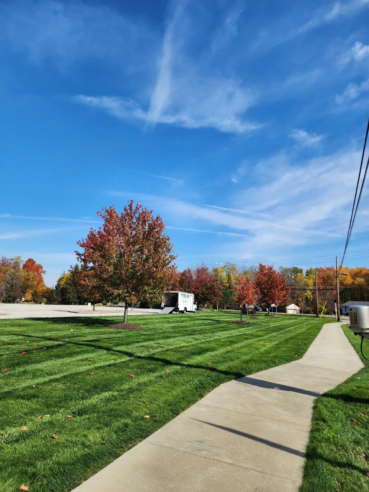 Lawn Service Fit Quiz: Which Portage Offering Matches Your Yard?