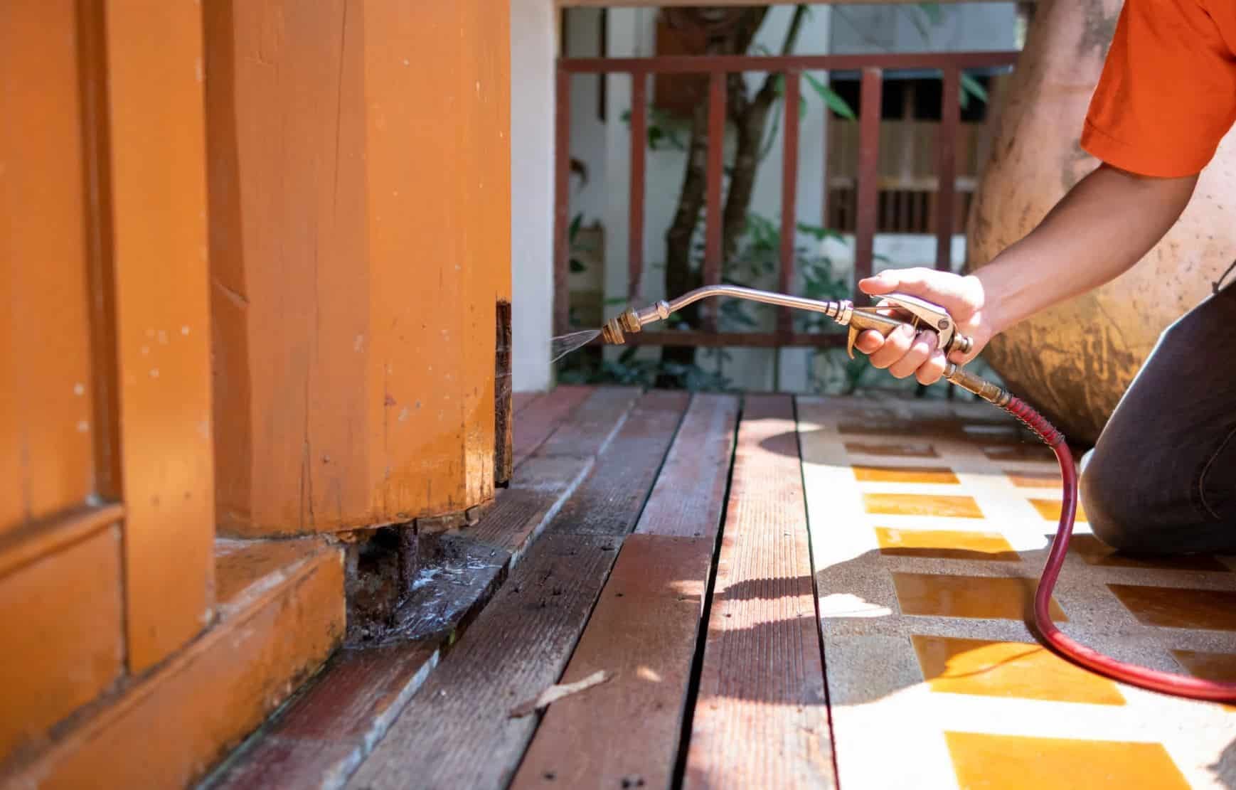 Professional pest control treatment at a home