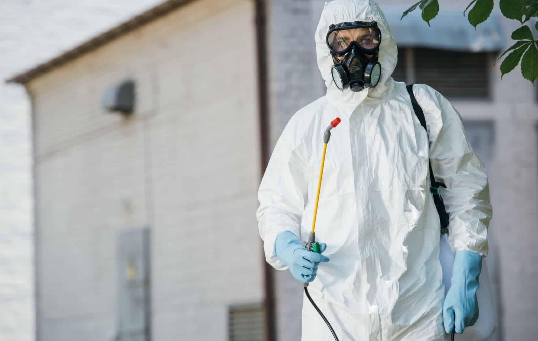 Pest Control Services in Rootstown