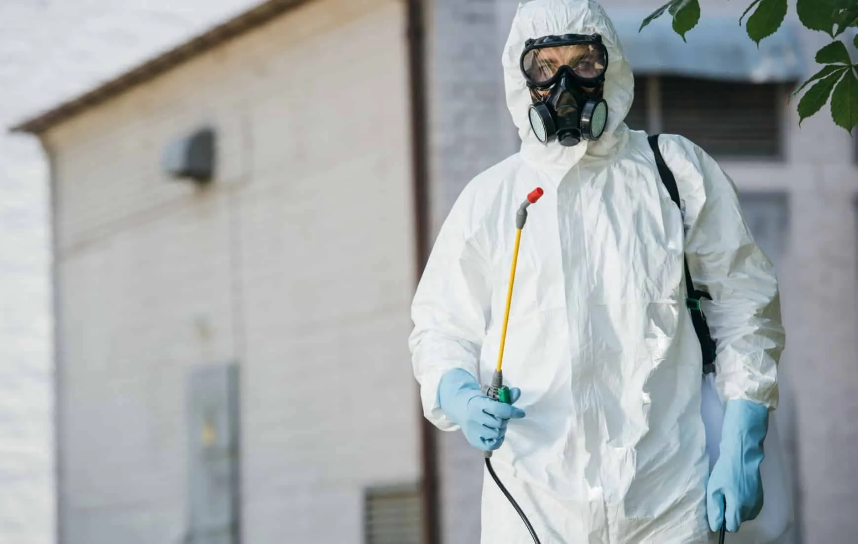 Pest Control Services in Akron