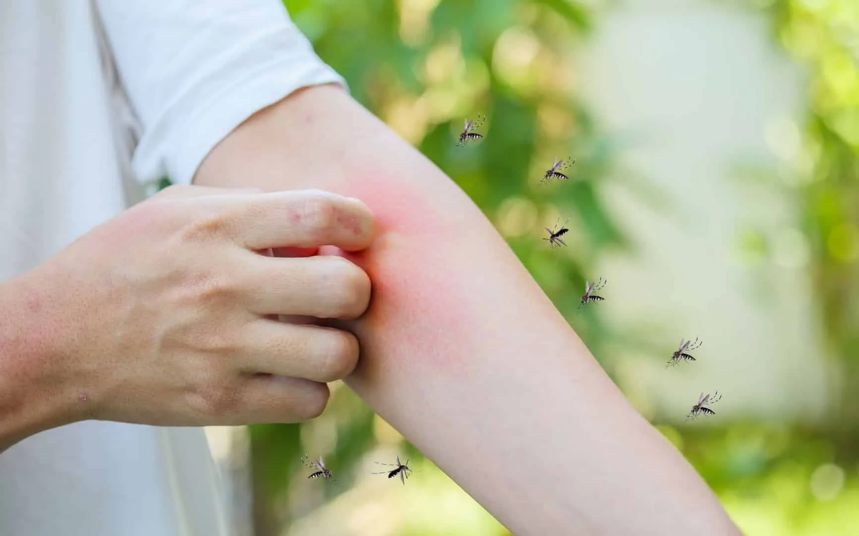 Enjoy your outdoor space with mosquito and tick protection