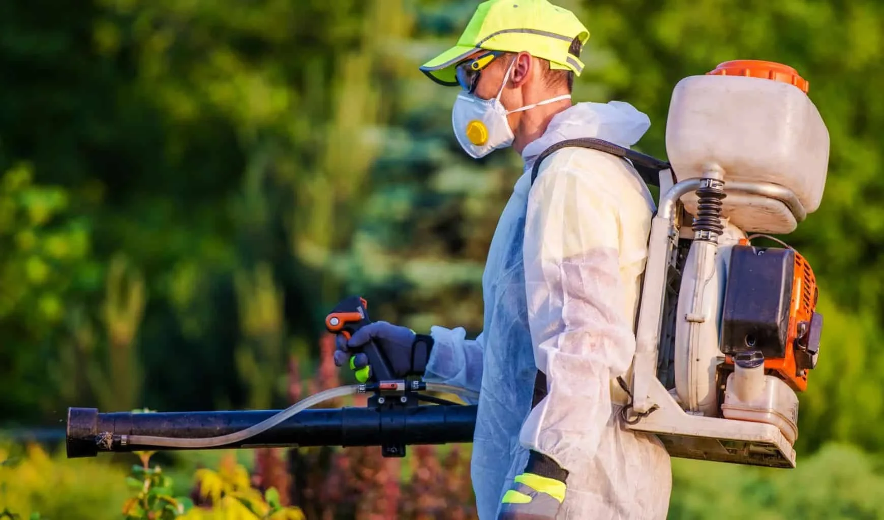 Professional pest control service