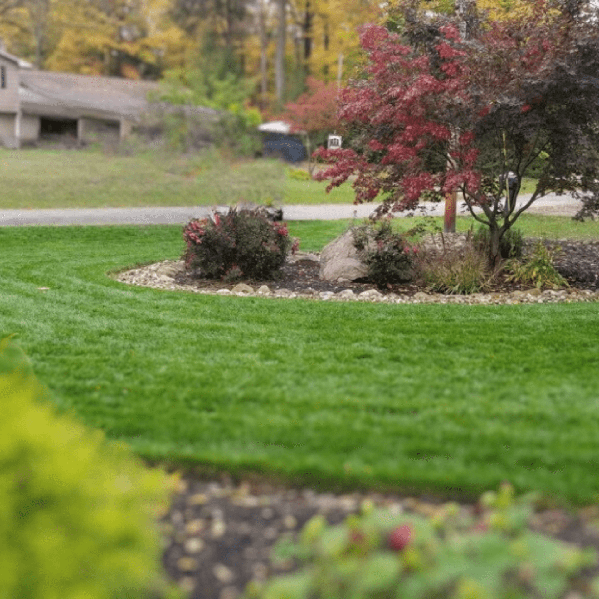 Healthy trees and landscape care