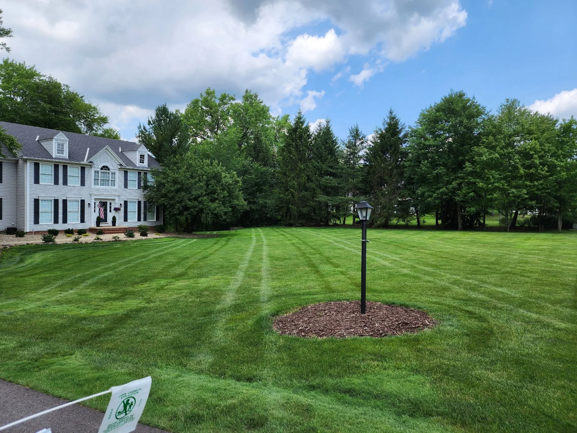 Spring lawn with bentgrass — healthy lawn care results