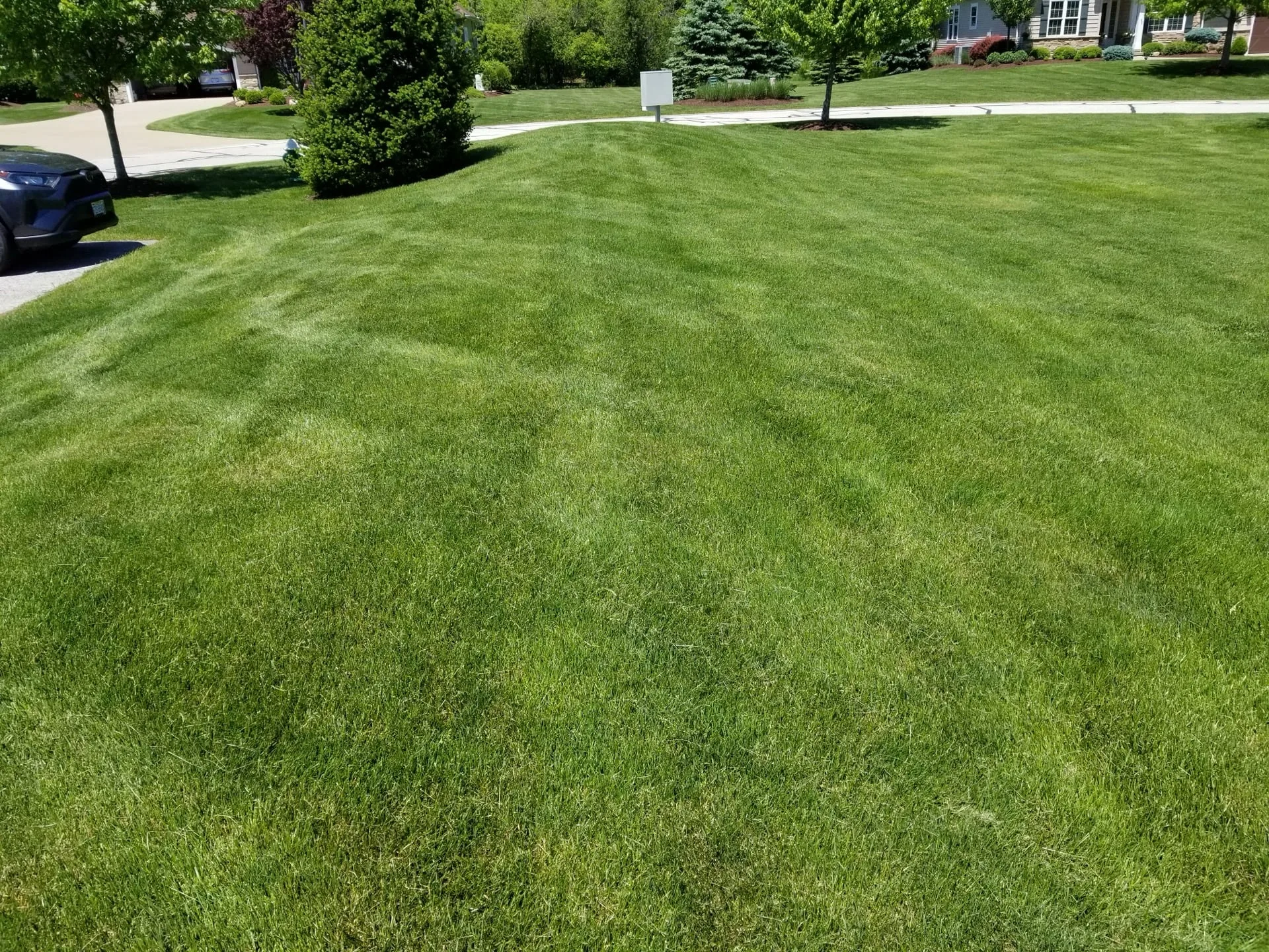 April Organic Lawn Care When Soil Finally Warms