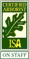ISA Member