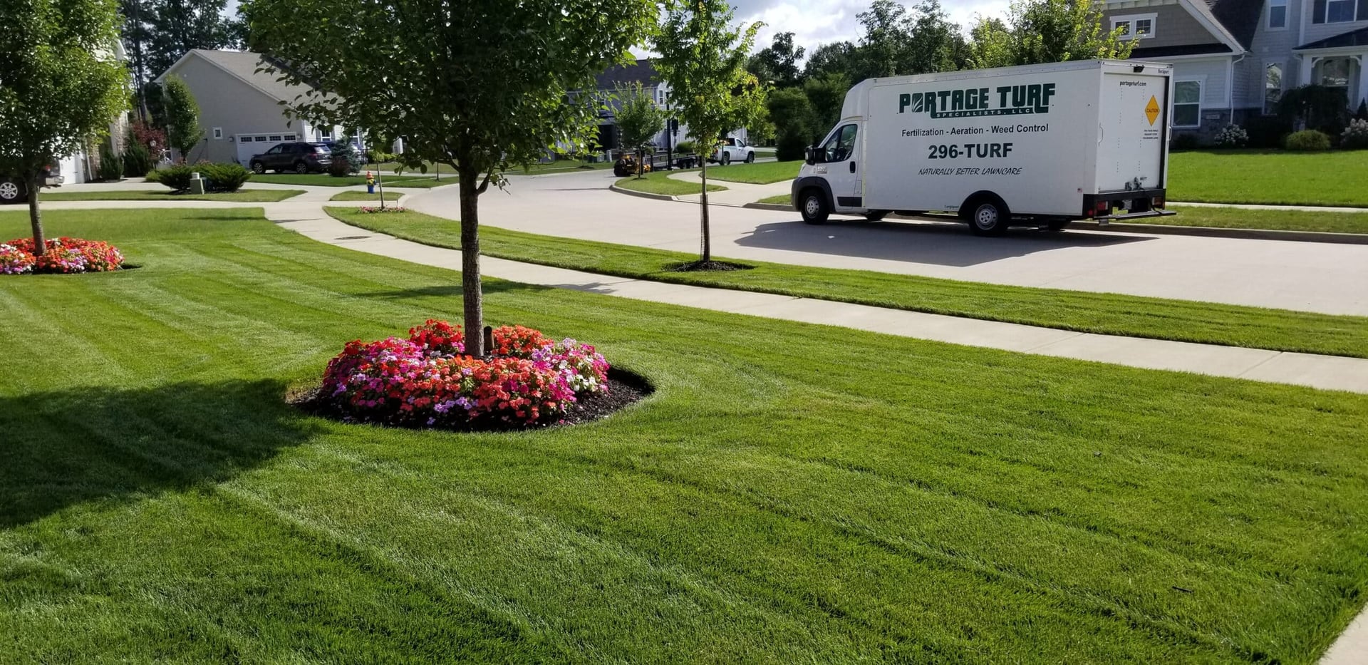 Beautiful healthy green lawn
