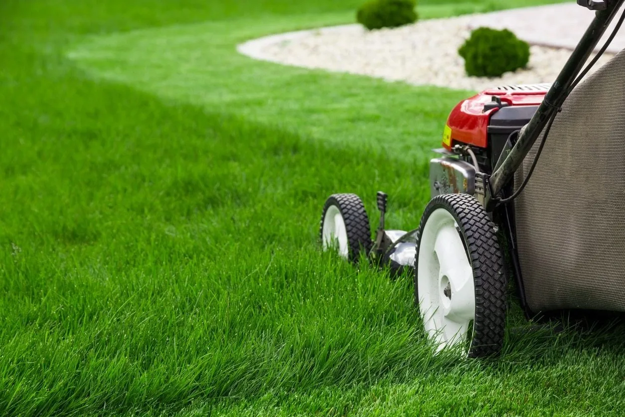 Professional Lawn Care in Akron