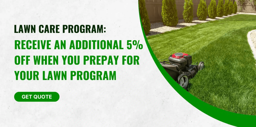 Lawn Care Program Special
