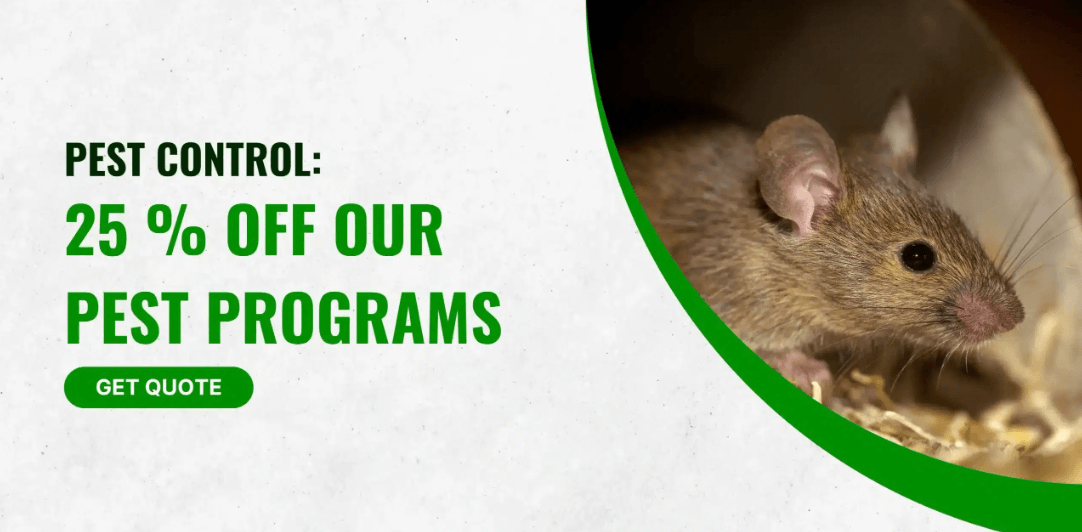 Pest Control Program Special
