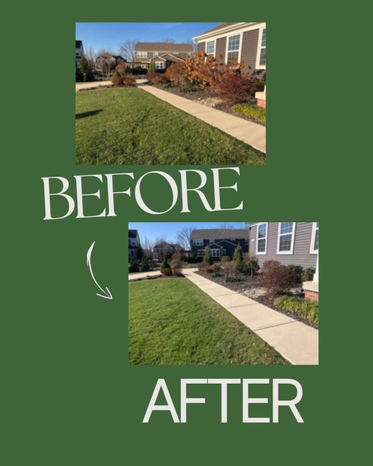 Before and After Pruning Picture Hudson, OH