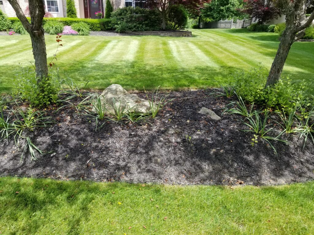 weeds in mulch beds