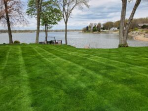 Green lawn by the water taken by Portage Turf