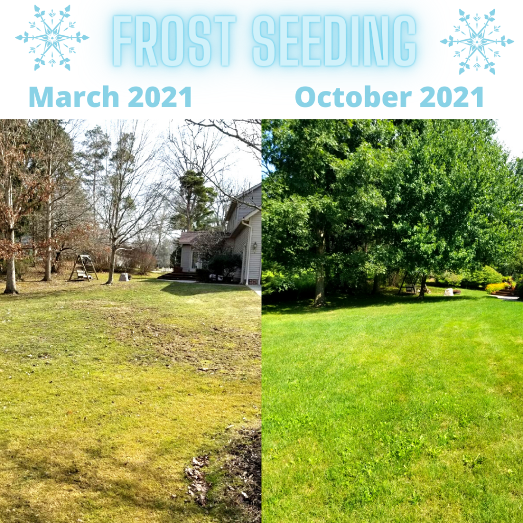 Frost Seeding Before and After