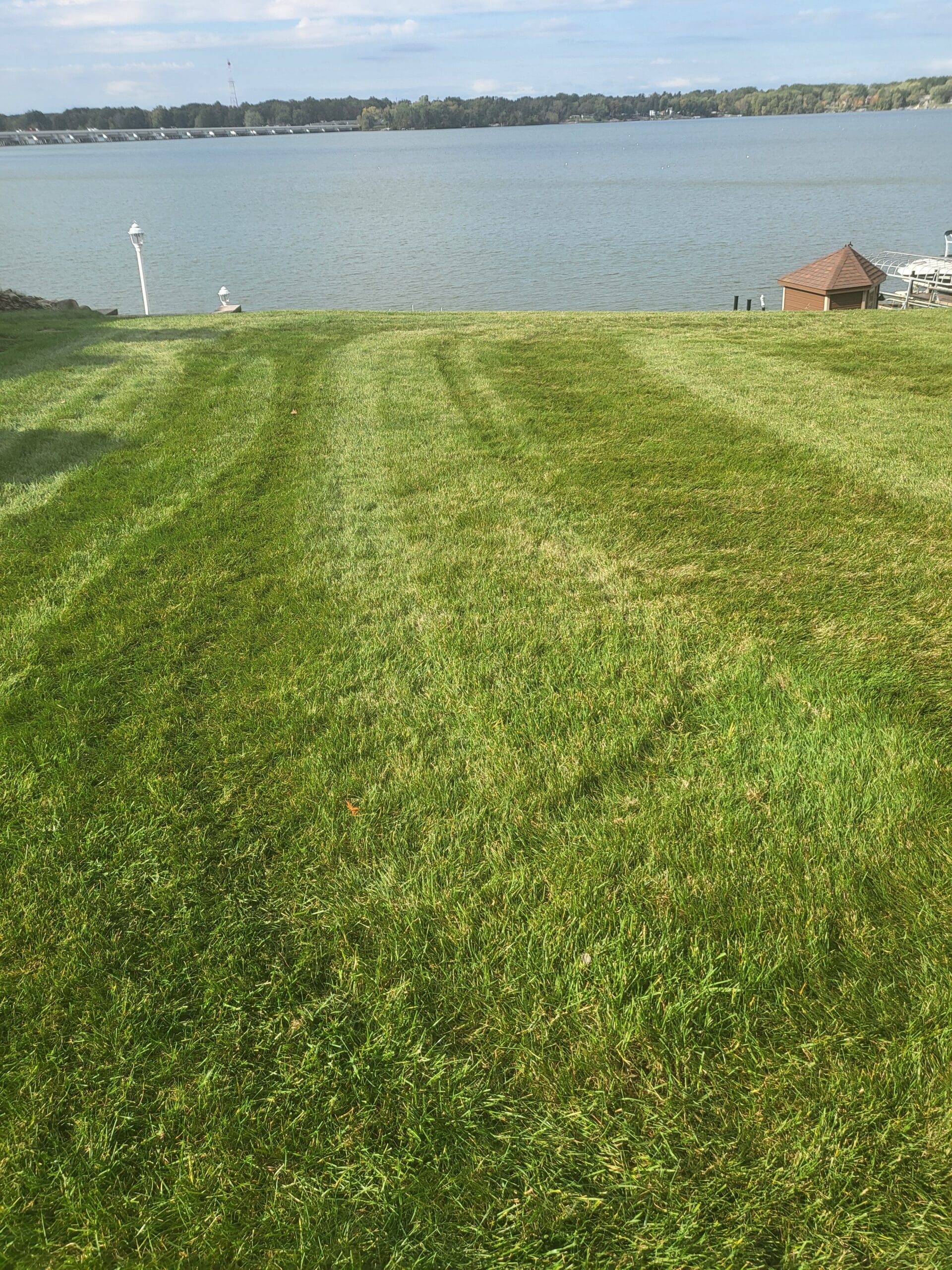 hillside lake milton weed free turf