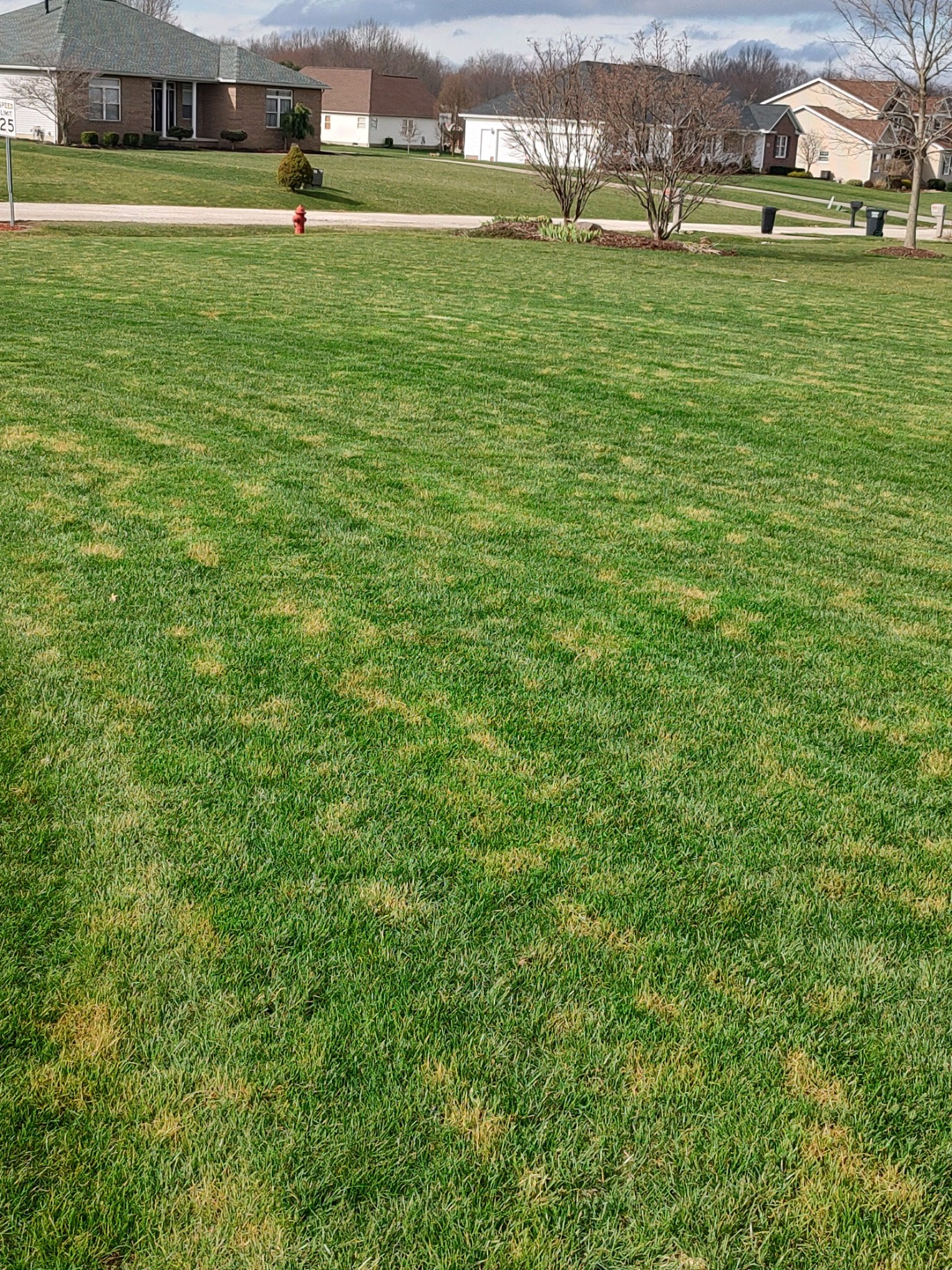 frost damage northeast ohio