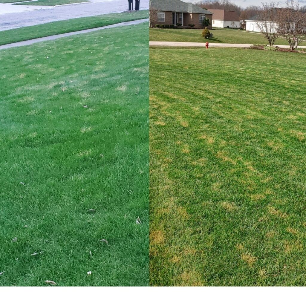 frost damage early spring northeast ohio